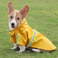 Imperméable Style "Cape" pour Chien – Coupe-vent Réfléchissant avec Capuche