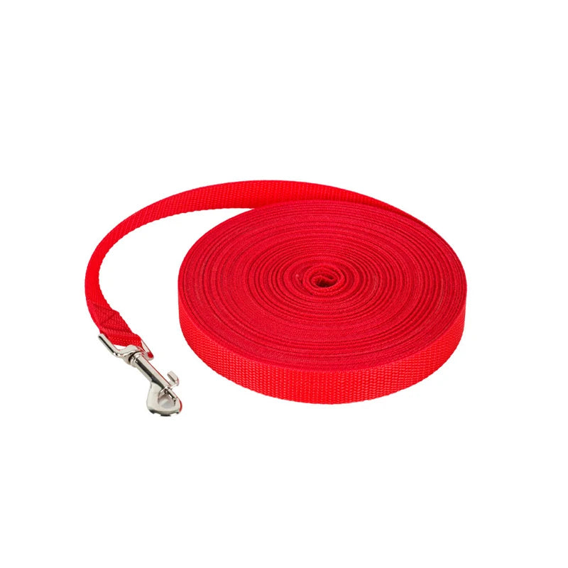Laisse en Nylon pour Chien et Chat - Multi-Longueurs - Idéale pour Marche, Course et Dressage - Pour Petits et Moyens Animaux