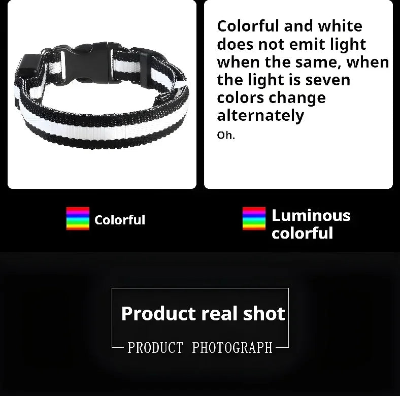 Collier LED Lumineux pour Chien – Nylon Réfléchissant, Sécurité, Clignotant & Fluorescent
