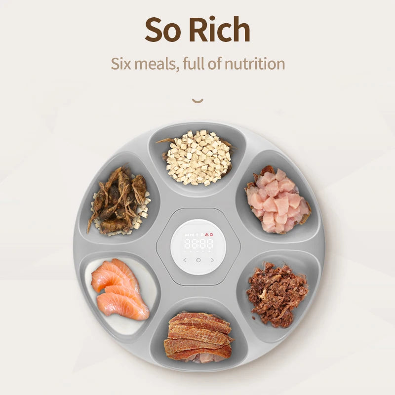 Distributeur de Nourriture Automatique Intelligent Croquettes et Repas Humides