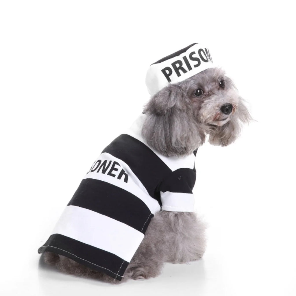 Costume de Pape pour Chien & Chat