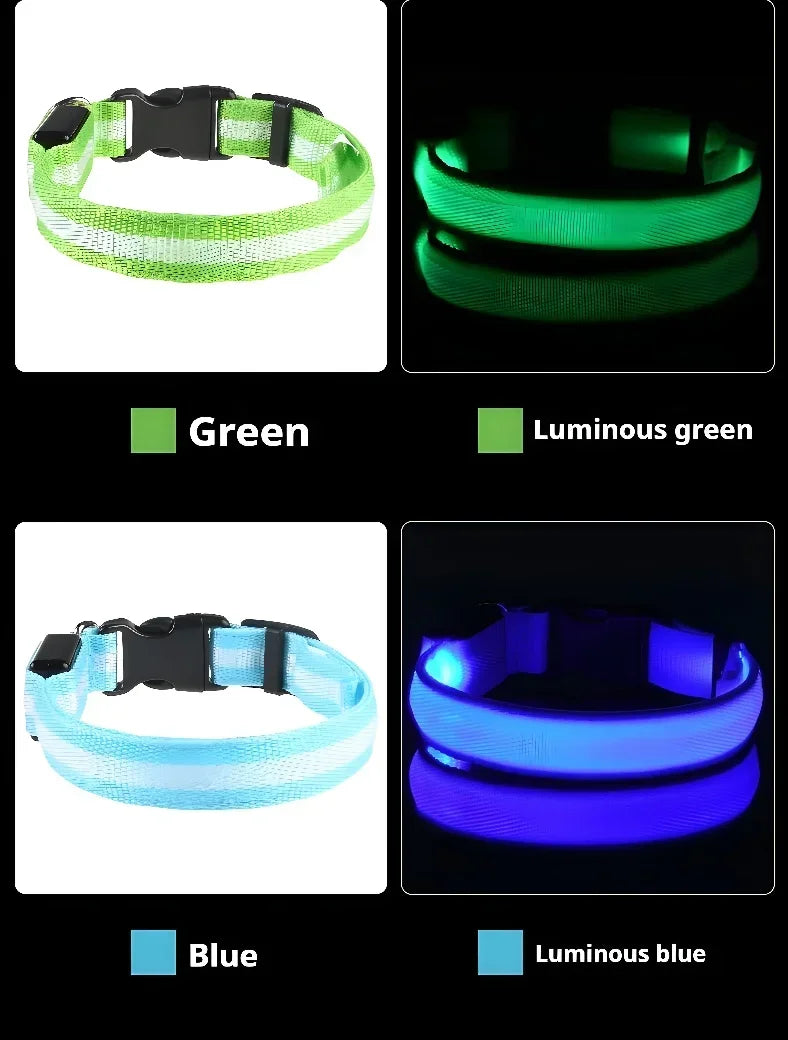 Collier LED Lumineux pour Chien – Nylon Réfléchissant, Sécurité, Clignotant & Fluorescent
