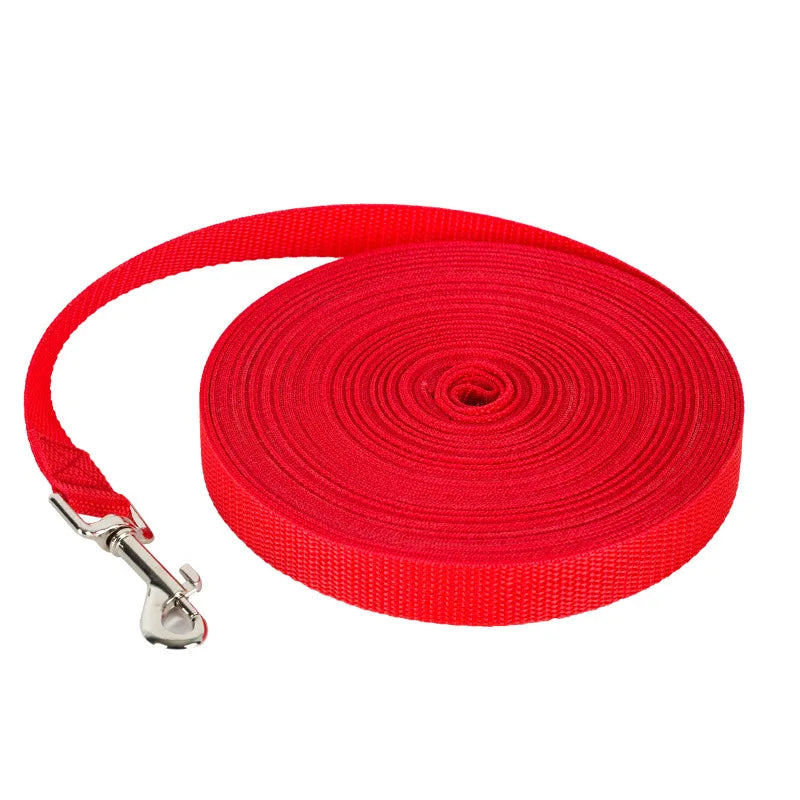 Laisse en Nylon pour Chien et Chat - Multi-Longueurs - Idéale pour Marche, Course et Dressage - Pour Petits et Moyens Animaux