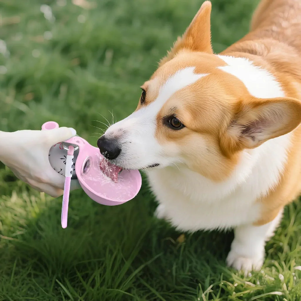 Bouteille d’Eau Portable 2-en-1 pour Chien – Compacte & Anti-Fuite
