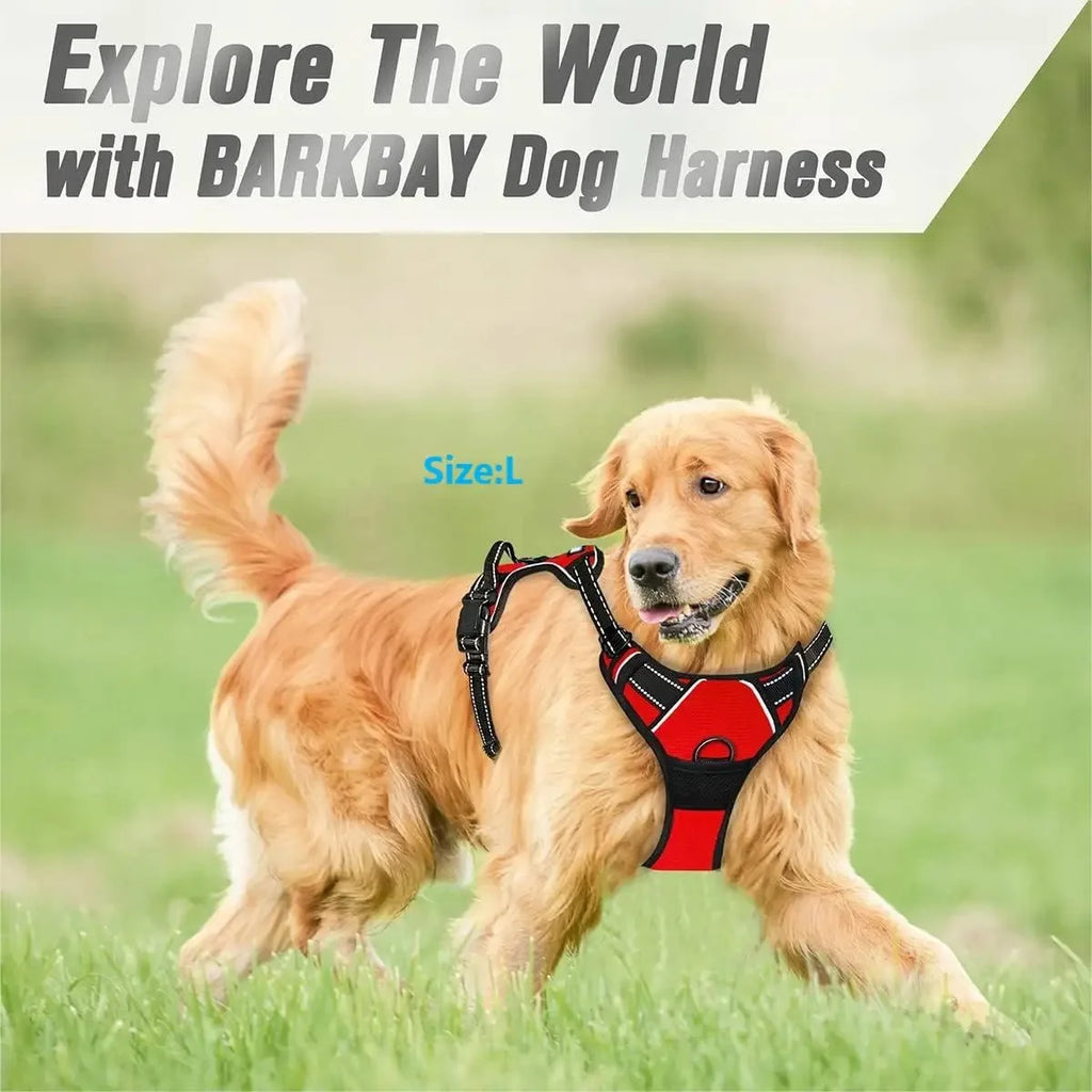 Ensemble Collier, Harnais et Laisse pour Chien – Accessoires Complets pour Petit et Moyen Chien