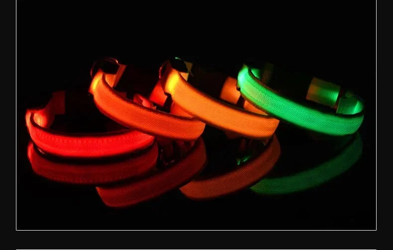 Collier LED Lumineux pour Chien – Nylon Réfléchissant, Sécurité, Clignotant & Fluorescent