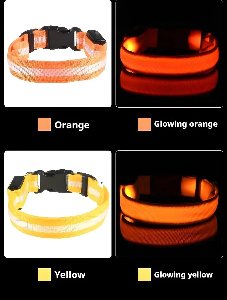 Collier LED Lumineux pour Chien – Nylon Réfléchissant, Sécurité, Clignotant & Fluorescent