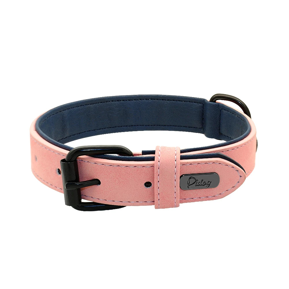 Collier en Cuir Rembourré pour Chien – Confort Premium –