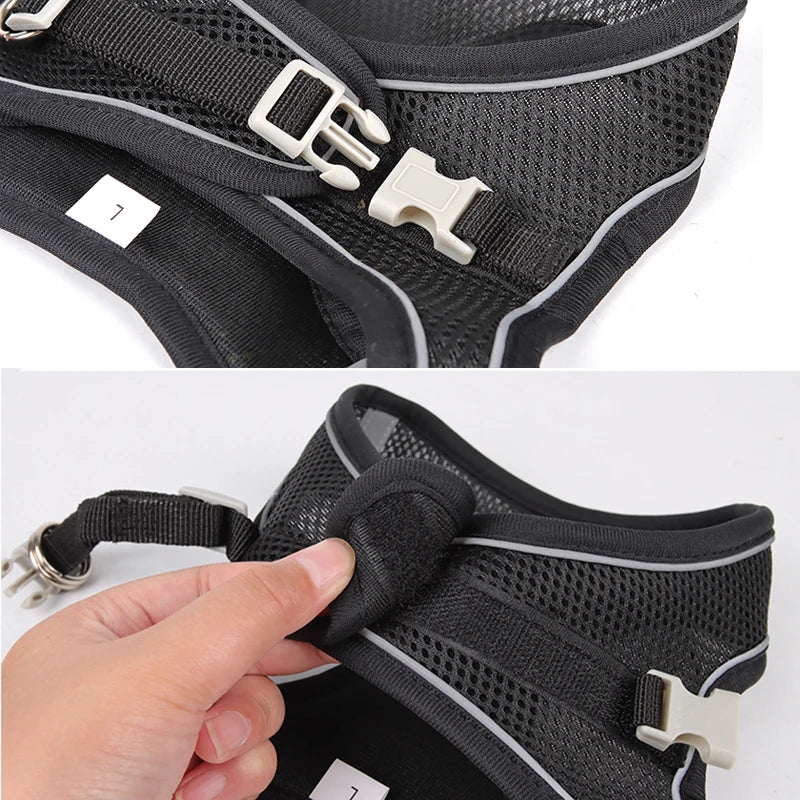 Harnais + Laisse Ajustable pour Petit Chien – Gilet Respirant Réfléchissant, Confort & Sécurité.