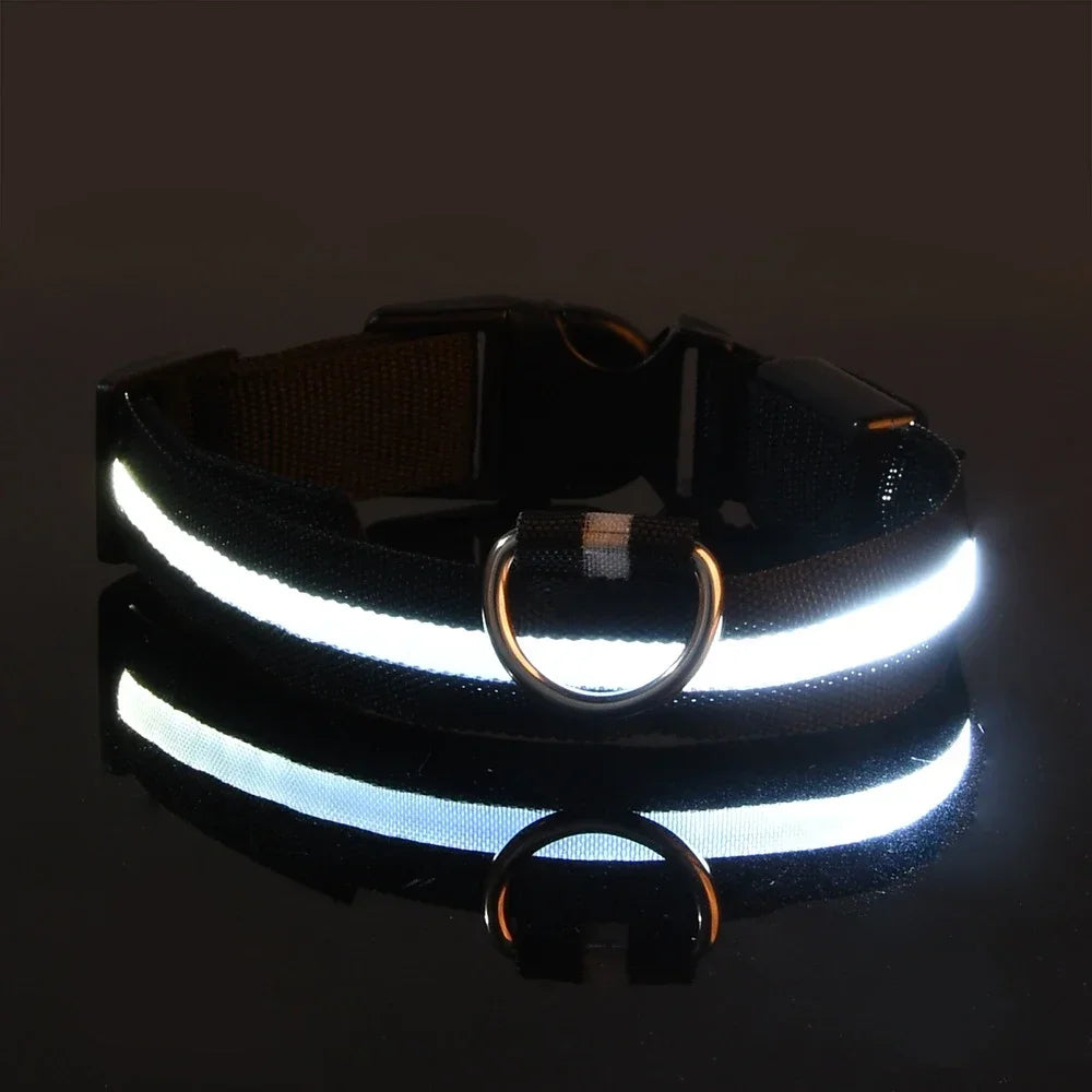 Collier LED Lumineux pour Chien – Nylon Réfléchissant, Sécurité, Clignotant & Fluorescent