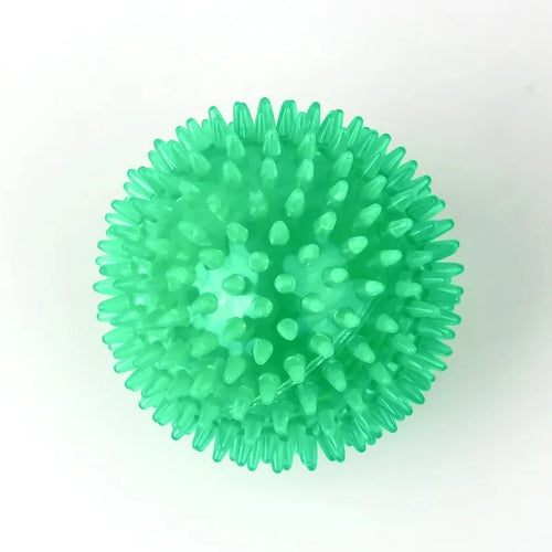 Balle Épineuse Sonore Jeu, Entraînement et Hygiène Dentaire