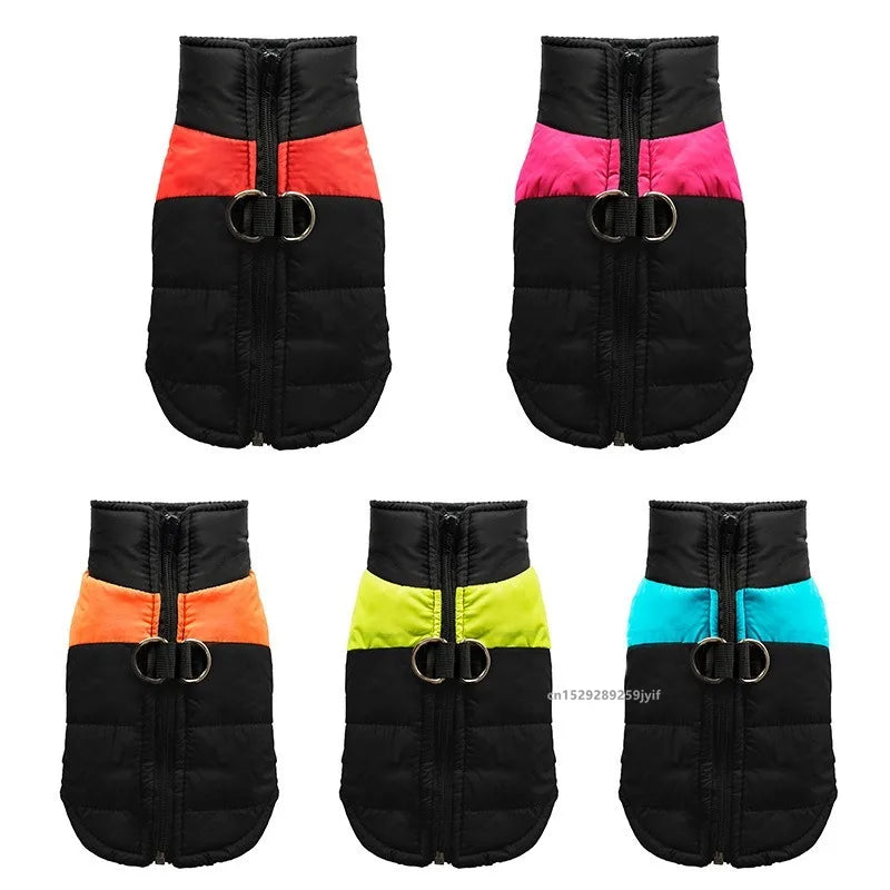Veste d'Hiver Matelassée pour Chien – Imperméable, Chaude et Zippée
