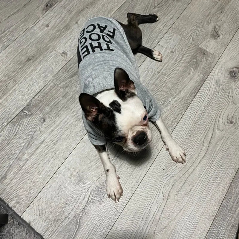 Sweat à Capuche "The Dog Face" – Hoodie Chaud et Coupe-vent pour Chien