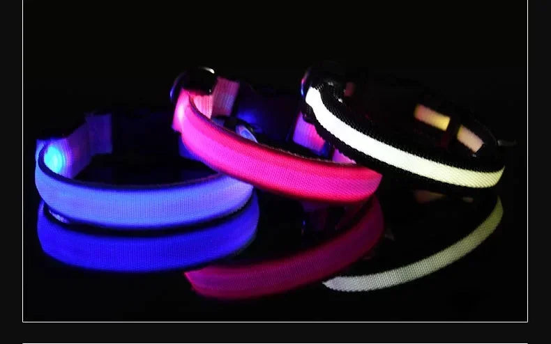 Collier LED Lumineux pour Chien – Nylon Réfléchissant, Sécurité, Clignotant & Fluorescent