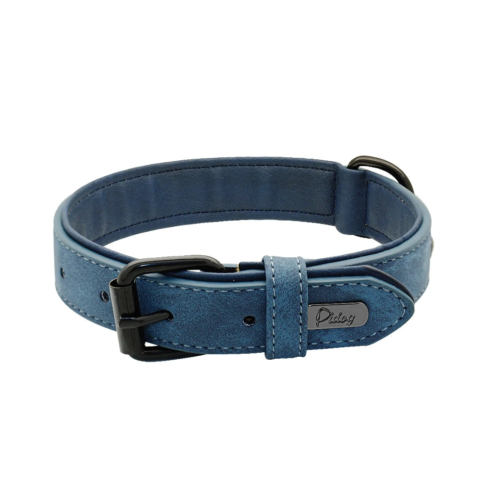 Collier en Cuir Rembourré pour Chien – Confort Premium –
