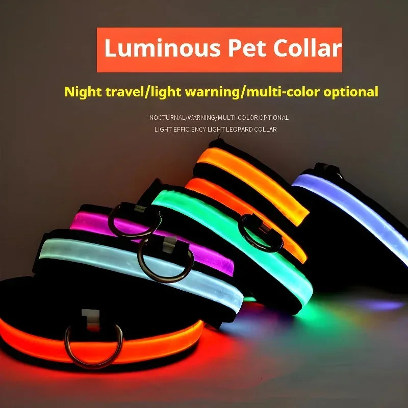 Collier LED Lumineux pour Chien – Nylon Réfléchissant, Sécurité, Clignotant & Fluorescent