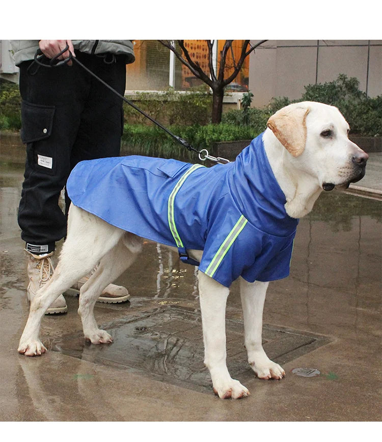 Imperméable Style "Cape" pour Chien – Coupe-vent Réfléchissant avec Capuche