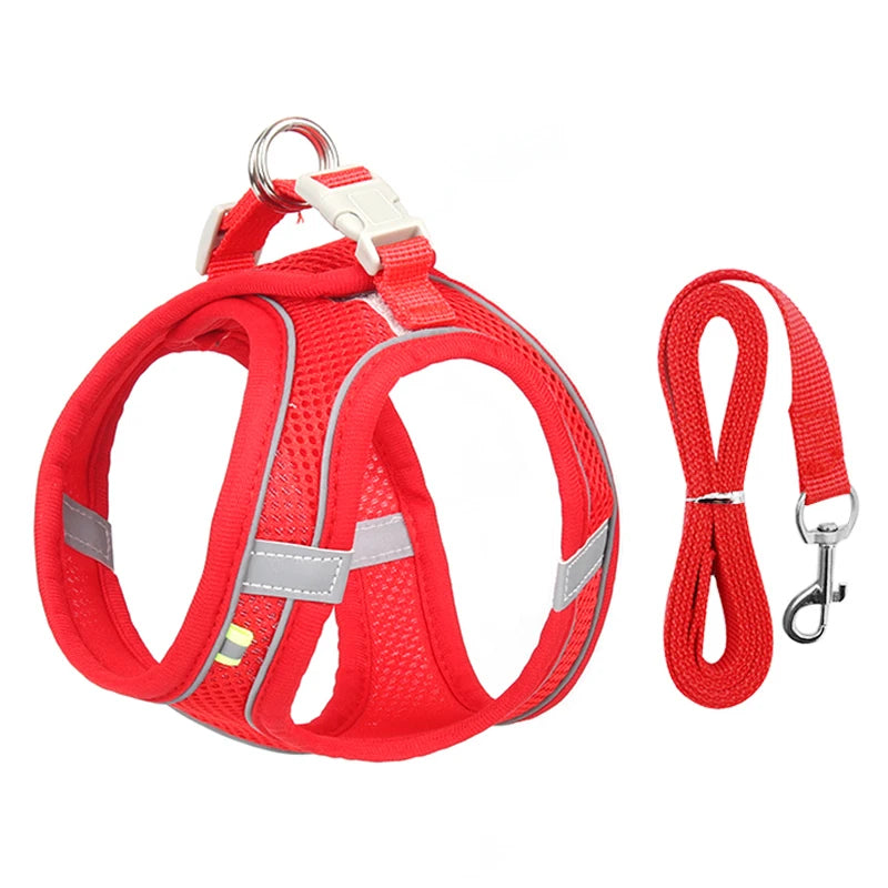 Harnais + Laisse Ajustable pour Petit Chien – Gilet Respirant Réfléchissant, Confort & Sécurité.