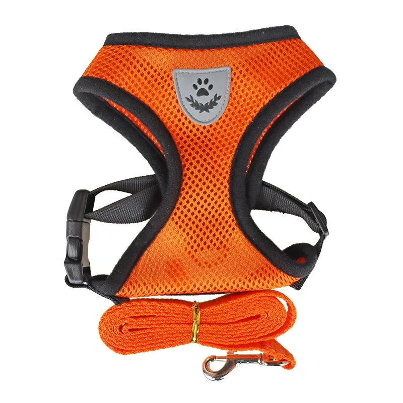 Harnais Veste Anti-Évasion avec Laisse pour Chat et Chaton – Confort Ergonomique & Sécurité Maximale