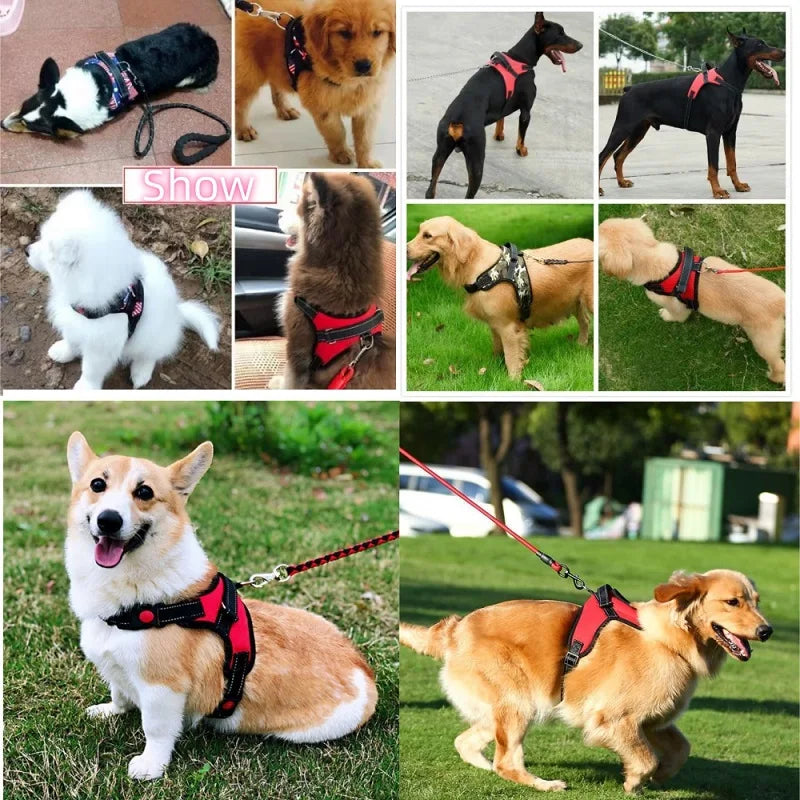 Harnais Veste Confort pour Chien