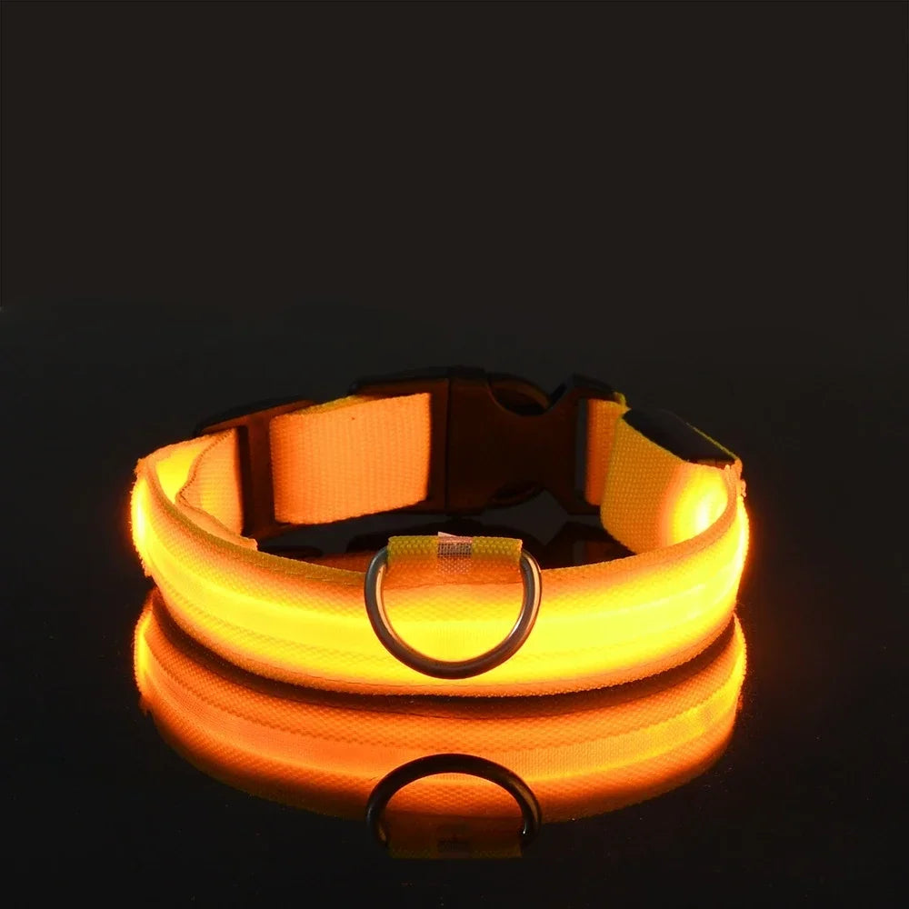 Collier LED Lumineux pour Chien – Nylon Réfléchissant, Sécurité, Clignotant & Fluorescent