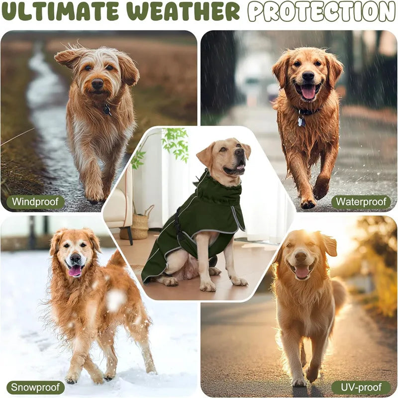 Manteau de Pluie Coupe-vent pour Chien – Imperméable avec Bande Réfléchissante