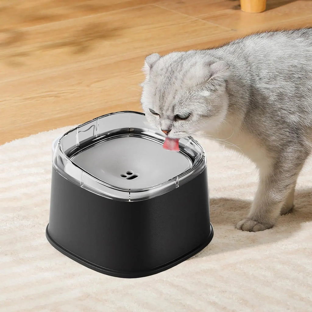 Bol d'Eau Anti-Éclaboussures  Distributeur à Débit Lent pour Chiens et Chats
