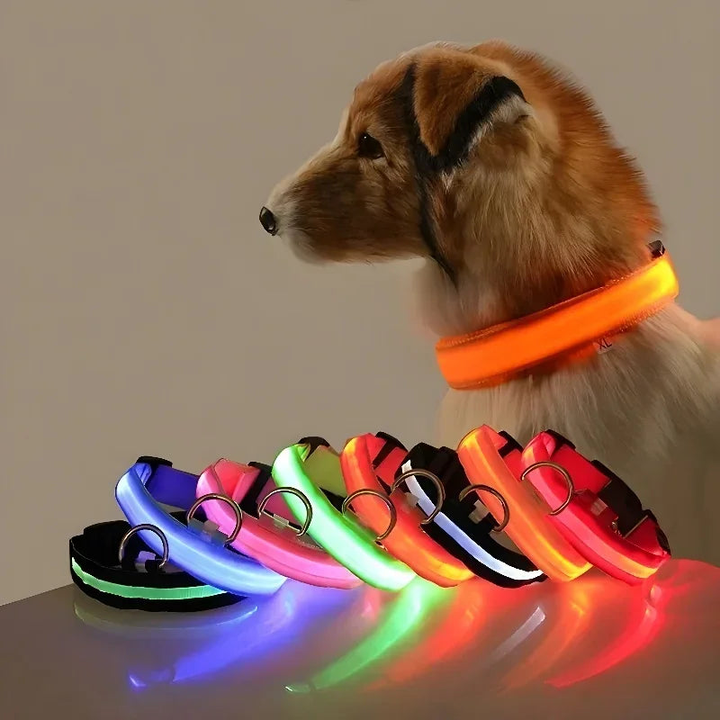 Collier LED Lumineux pour Chien – Nylon Réfléchissant, Sécurité, Clignotant & Fluorescent