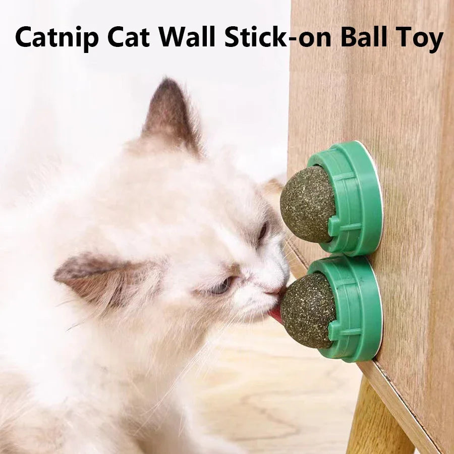 Boule de Cataire Rotative : Soin Dentaire et Divertissement Interactif