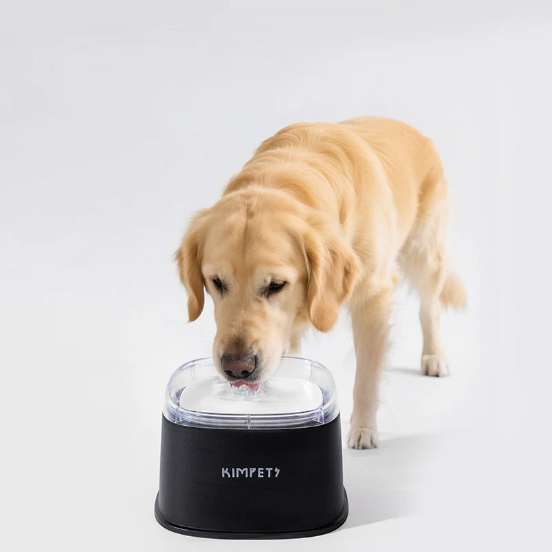 Bol d'Eau Anti-Éclaboussures  Distributeur à Débit Lent pour Chiens et Chats