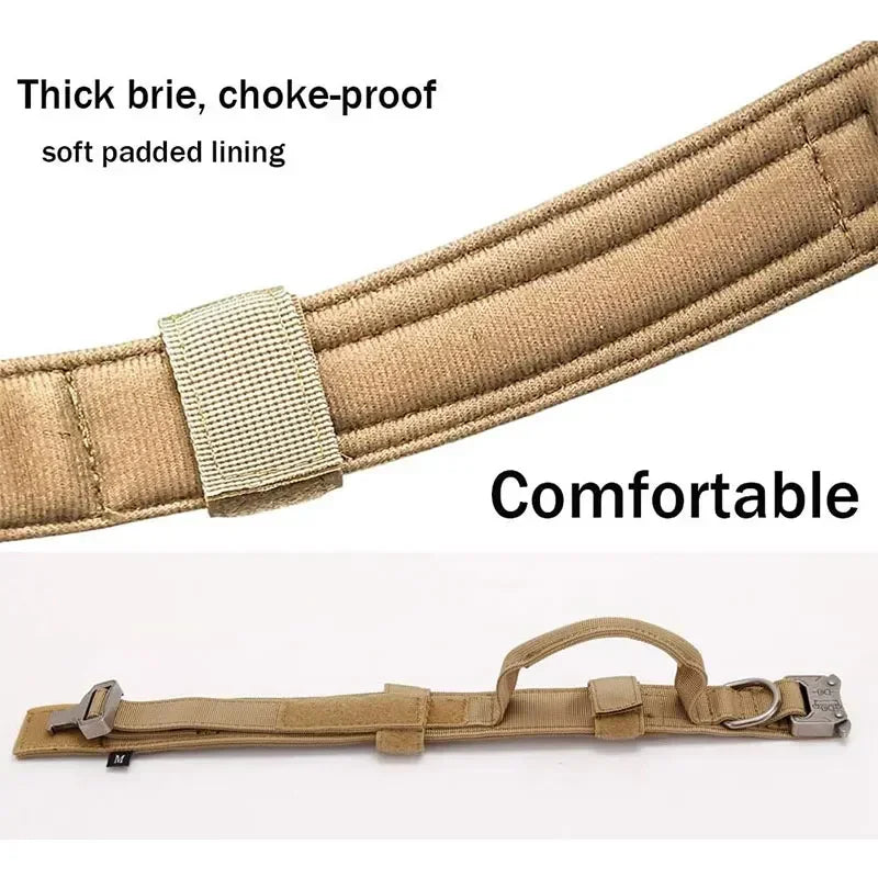Collier Tactique Style Sport pour Chien – Modèle Robuste avec Poignée de Traction