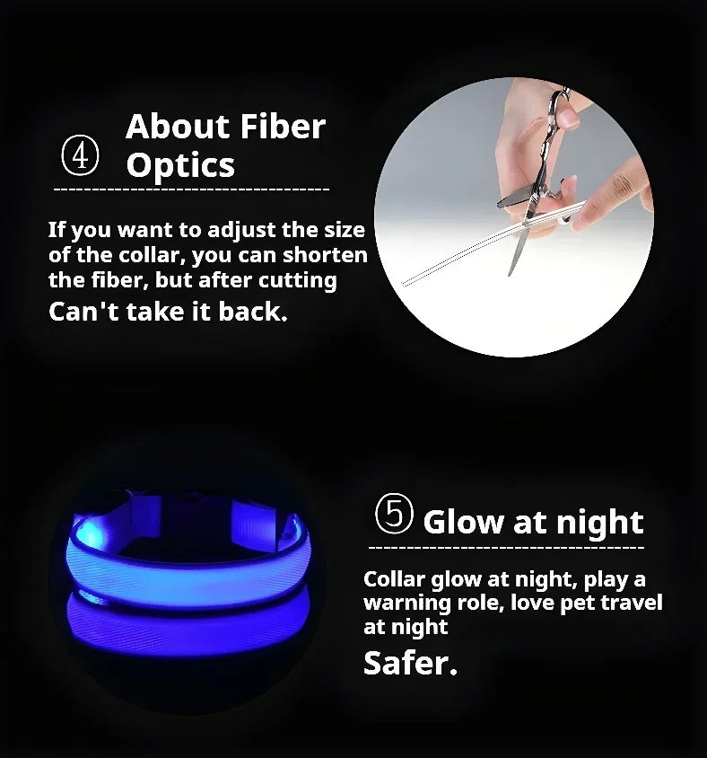 Collier LED Lumineux pour Chien – Nylon Réfléchissant, Sécurité, Clignotant & Fluorescent