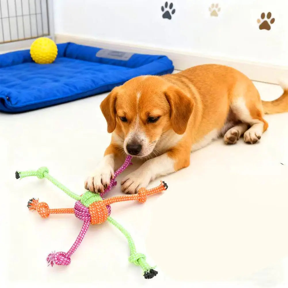 Jouet à Nœuds Interactif et Résistant : Corde de Mastication pour Chiens