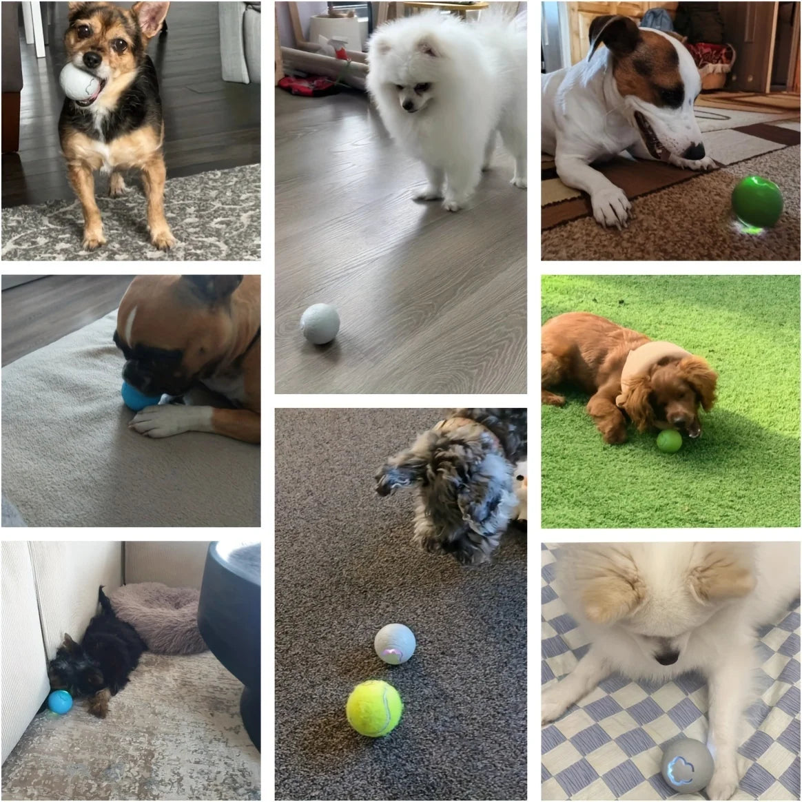 Interactive Smart Ball for Pets – Automatic Bouncing Toy with RGB Lights | USB Rechargeable