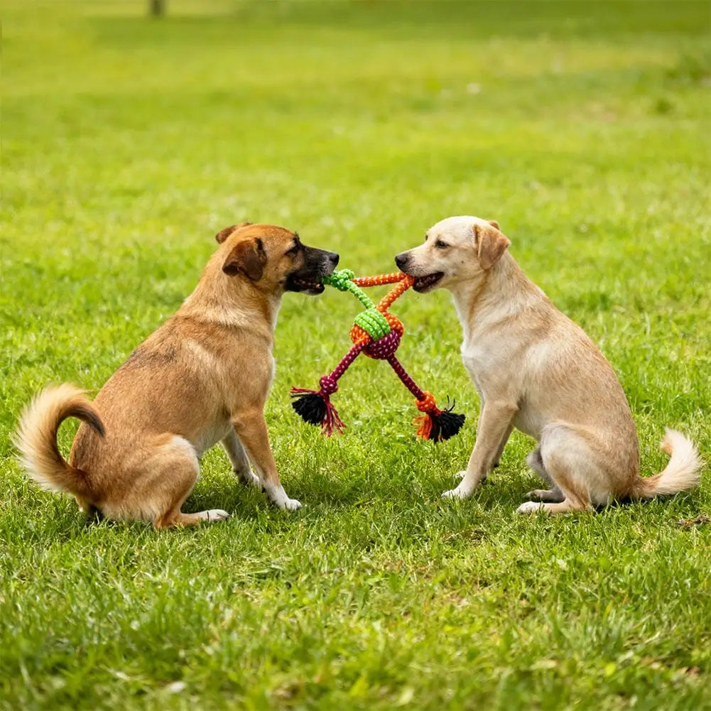 Jouet à Nœuds Interactif et Résistant : Corde de Mastication pour Chiens