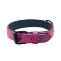 Collier en Cuir Rembourré pour Chien – Confort Premium –