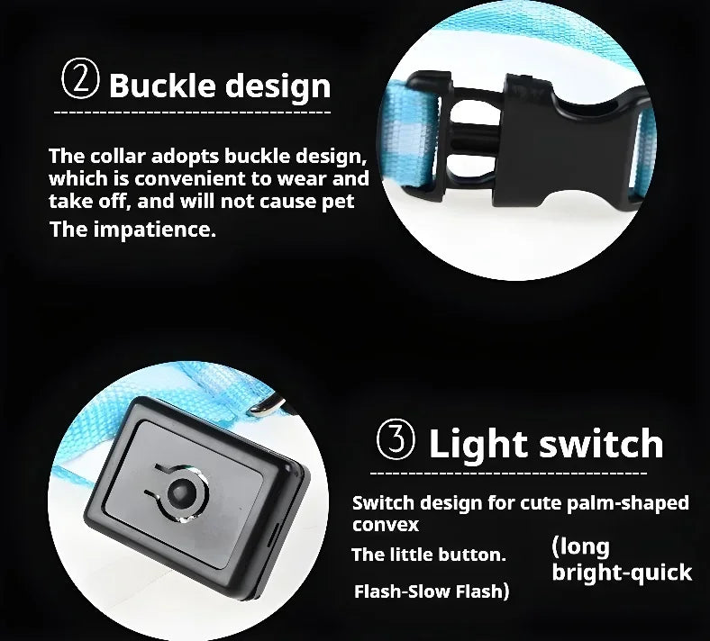 Collier LED Lumineux pour Chien – Nylon Réfléchissant, Sécurité, Clignotant & Fluorescent