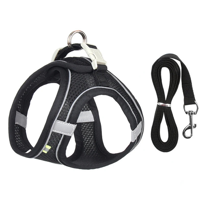 Harnais + Laisse Ajustable pour Petit Chien – Gilet Respirant Réfléchissant, Confort & Sécurité.