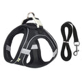 Harnais + Laisse Ajustable pour Petit Chien – Gilet Respirant Réfléchissant, Confort & Sécurité.