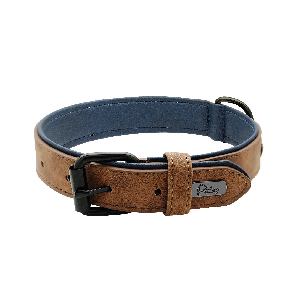 Collier en Cuir Rembourré pour Chien – Confort Premium –