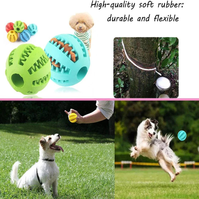 Balle Interactive en Caoutchouc pour Chiens et Chats – Distributeur de Friandises et Nettoyage Dentaire