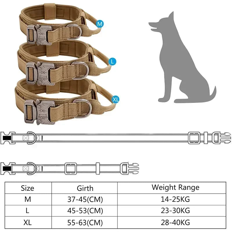 Collier Tactique Style Sport pour Chien – Modèle Robuste avec Poignée de Traction