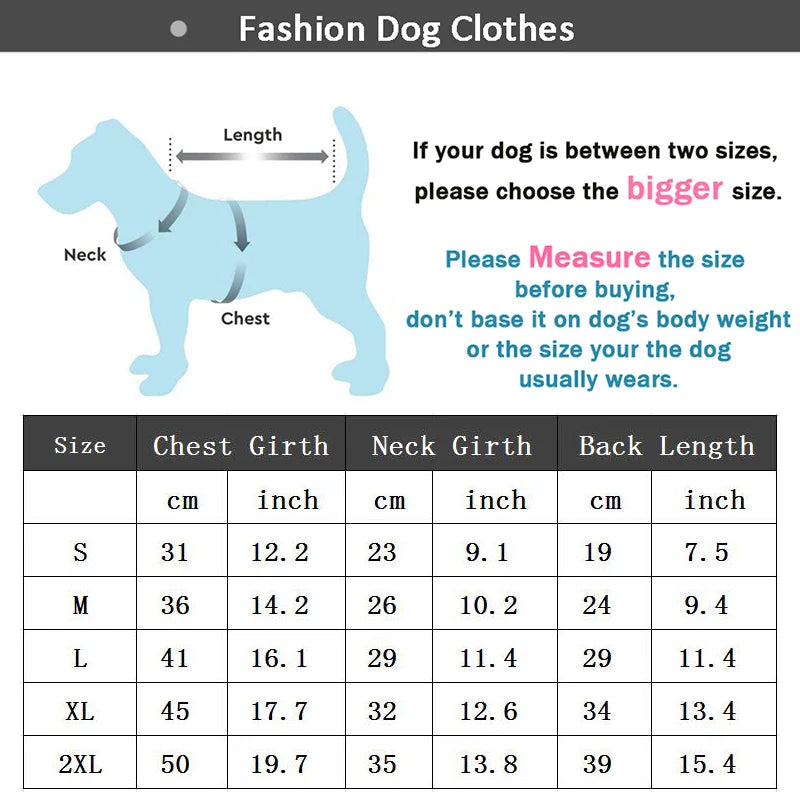Combinaison d'Hiver Imperméable pour Chien – Doublure Chaude & Protection Totale