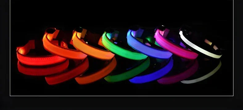 Collier LED Lumineux pour Chien – Nylon Réfléchissant, Sécurité, Clignotant & Fluorescent