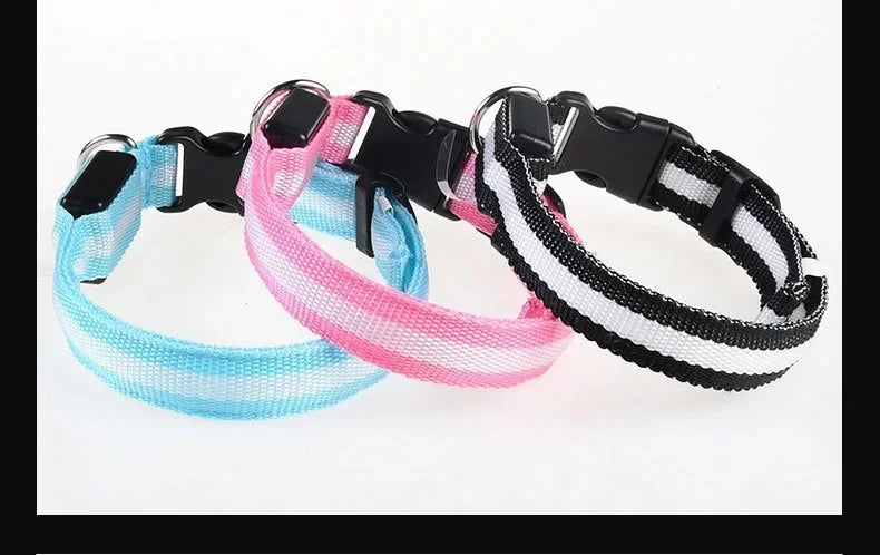 Collier LED Lumineux pour Chien – Nylon Réfléchissant, Sécurité, Clignotant & Fluorescent