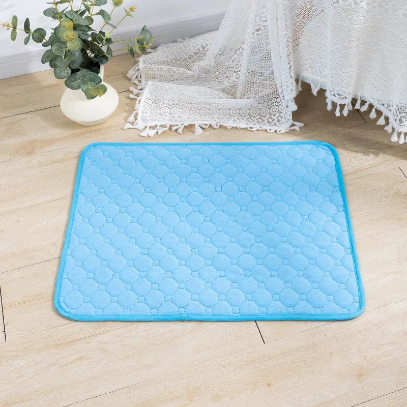 Tapis d'Entraînement Lavable et Réutilisable pour Chiens | Absorbant & Imperméable