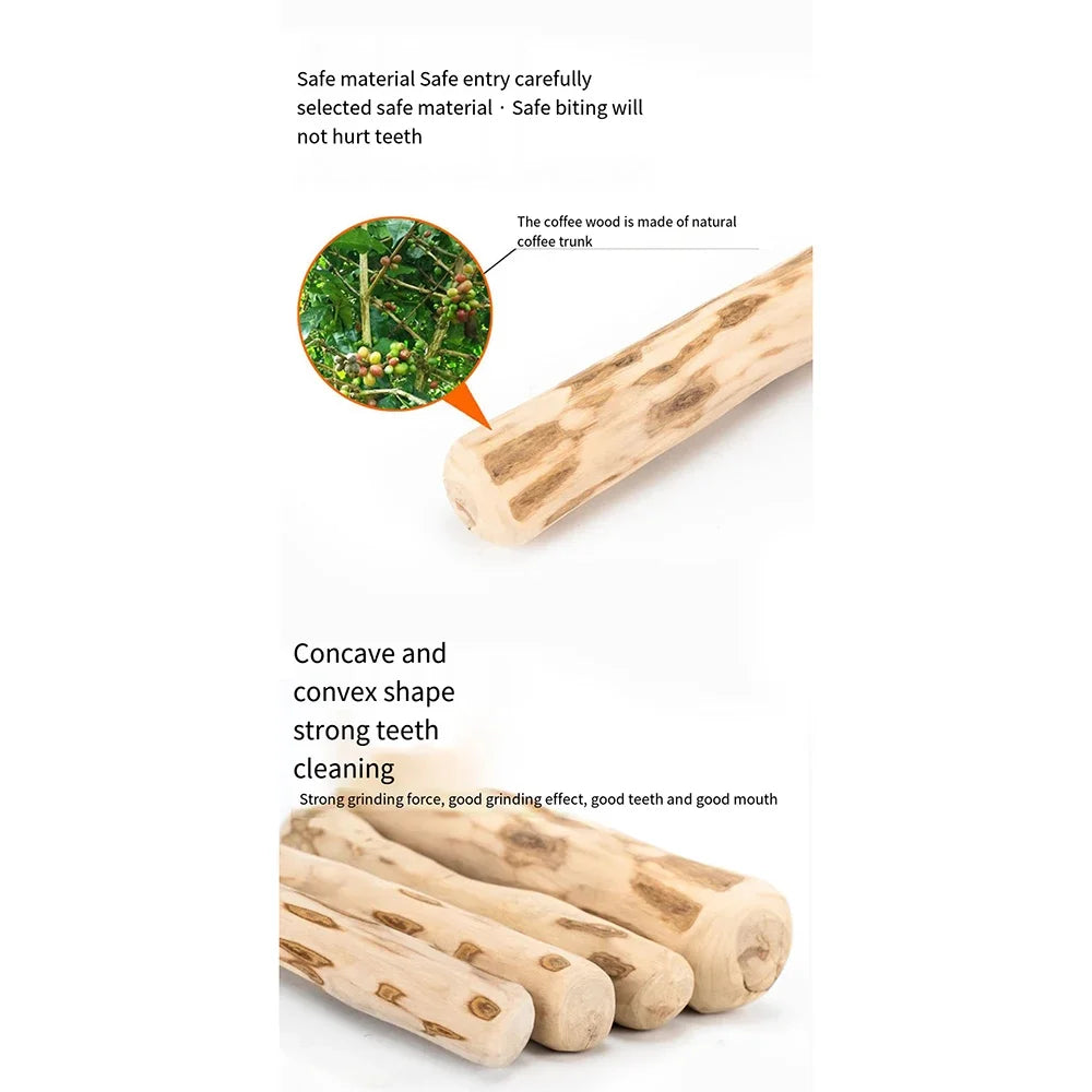 Bâton à Mâcher en Bois de Caféier : Jouet de Mastication Naturel et Durable