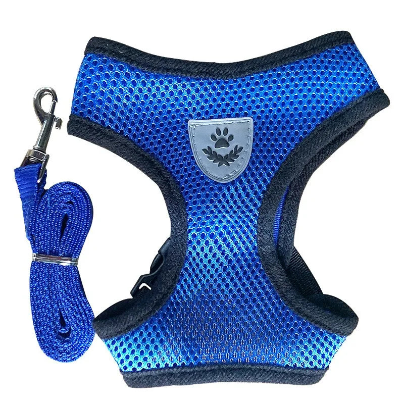 Harnais Veste Anti-Évasion avec Laisse pour Chat et Chaton – Confort Ergonomique & Sécurité Maximale