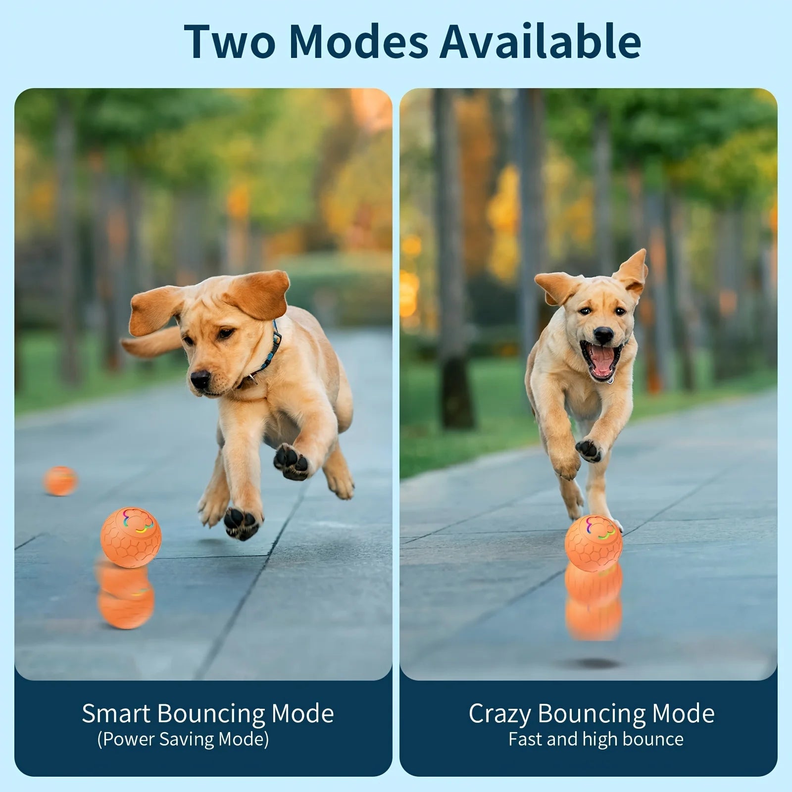 Interactive Smart Ball for Pets – Automatic Bouncing Toy with RGB Lights | USB Rechargeable