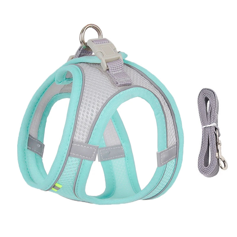 Harnais + Laisse Ajustable pour Petit Chien – Gilet Respirant Réfléchissant, Confort & Sécurité.
